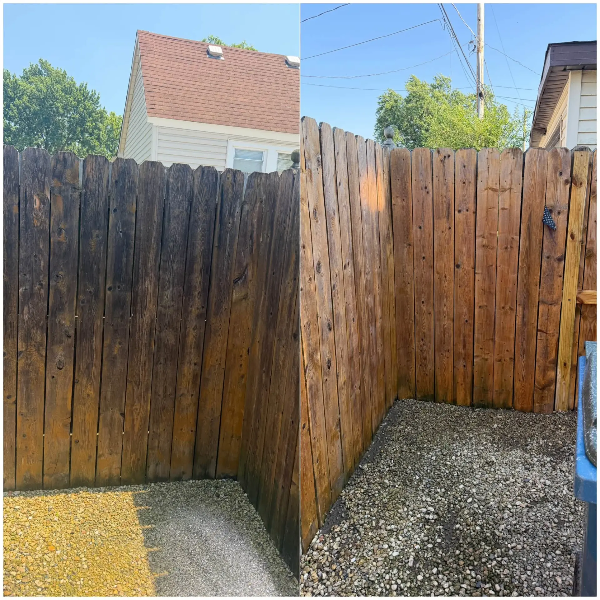 Cedar fence restoration results